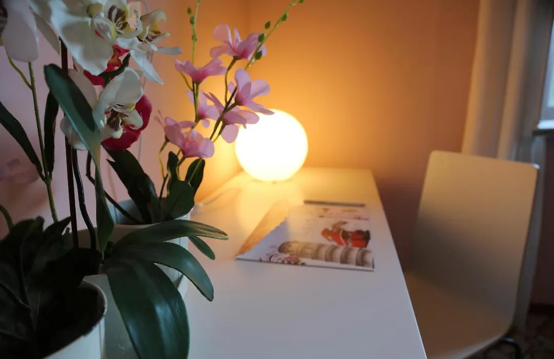 B&B Rosa-1